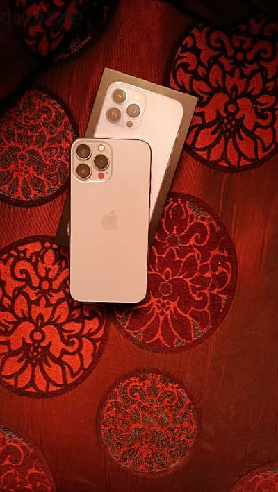 13 Pro Max in Alexandria, Classifieds in Alexandria | dubizzle Egypt (OLX)