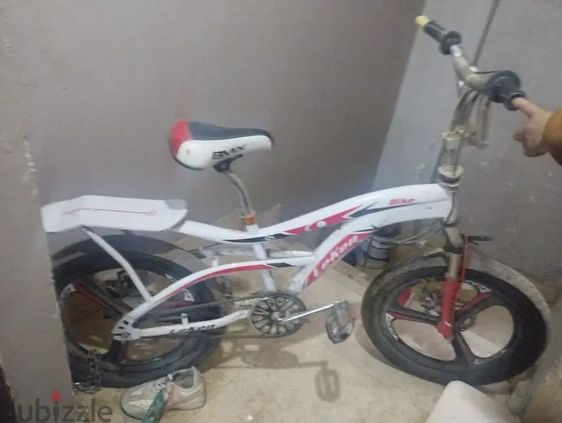محمد ماهر65056313851139121