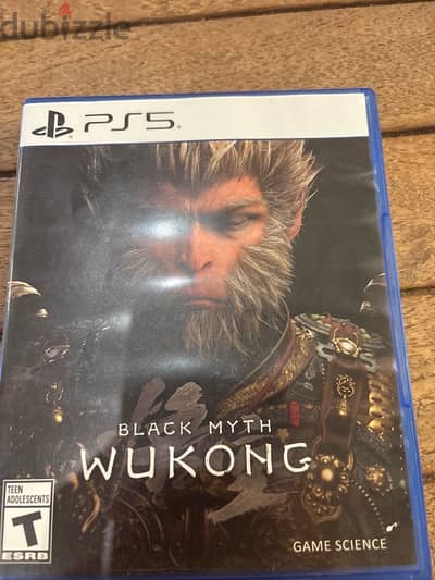 black myth wukong game