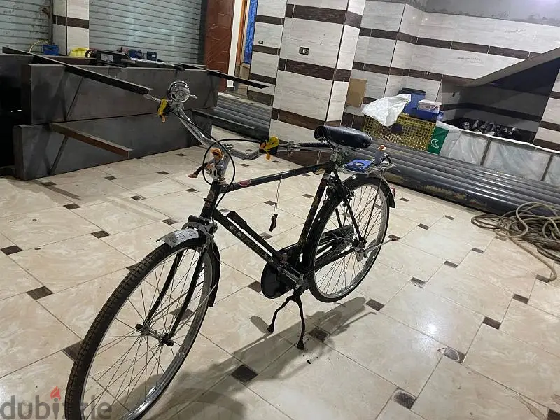 عجله زيره65183709946627121