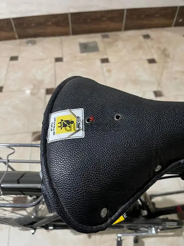 عجله زيره65183709946627122