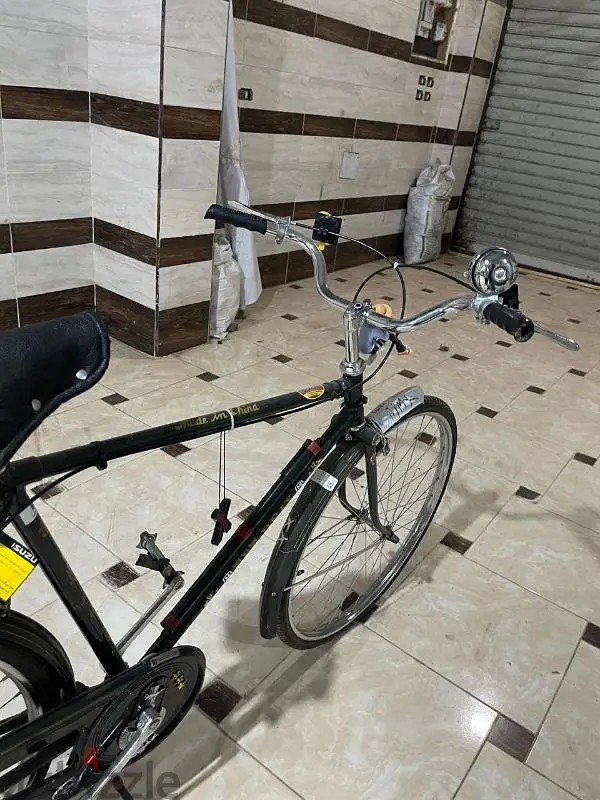 عجله زيره65183709946627124