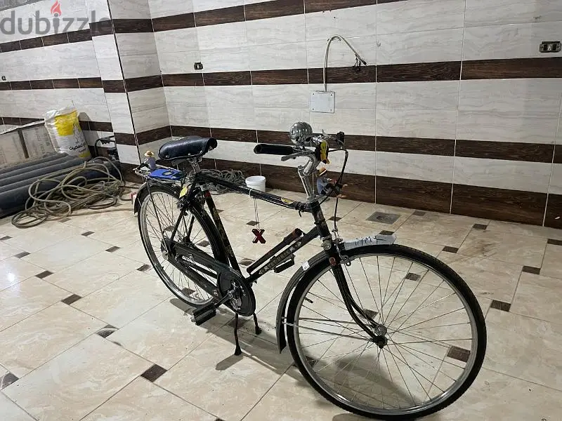 عجله زيره65183709946627127