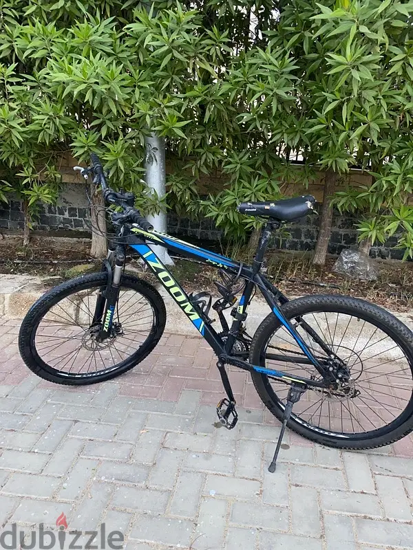 Bicycle65568831266945121