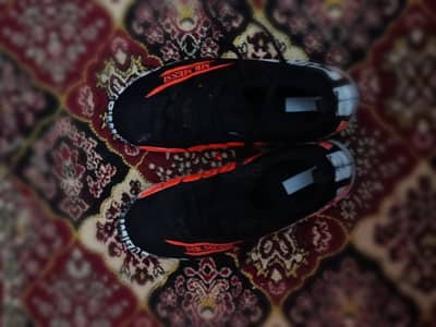 المنصوره الدقهليه