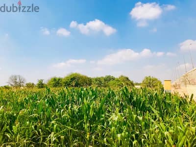 فرصه حقيقيه - أقيم أرض مسجله شهر عقاري – مباشرة على الطريق الصحراوي
