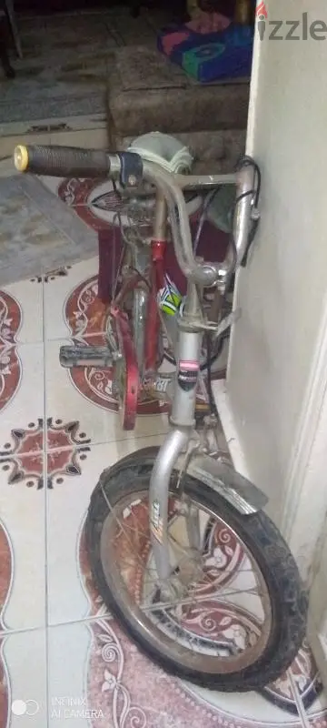 Bicycle65581035567874121