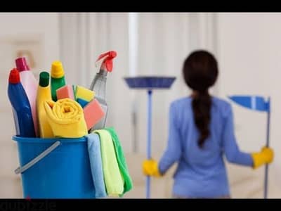 شركه بيتك في أيد أمينة لتنظيف المنازل والمكاتب والفلل