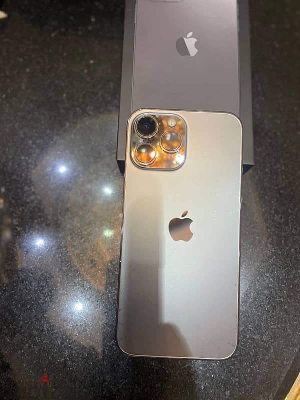 iphone-13-pro-max-206840401