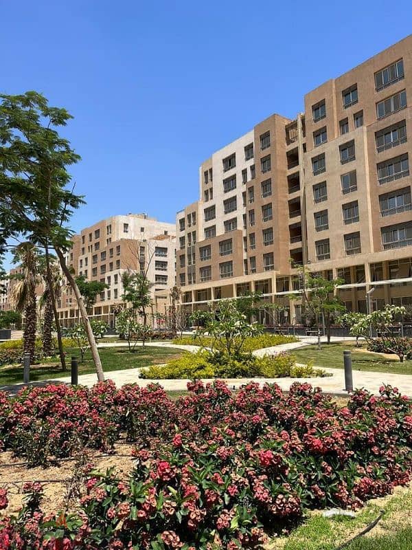 Ready to Move Apartment in El Maqsad | No Overprice | Owner Sale - شقق ...