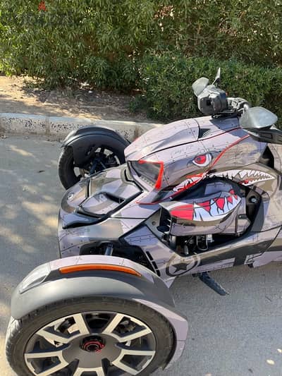 can am ryker rally
