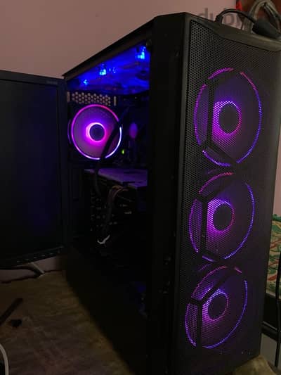 case shark gaming
