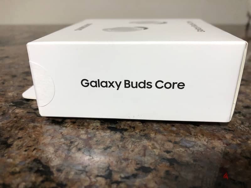 Galaxy Buds Core 4