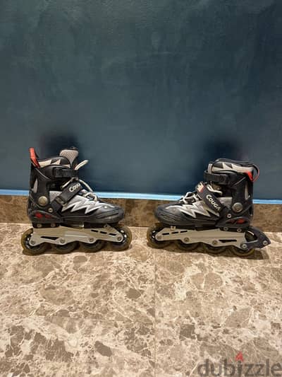 Skate Cougar
