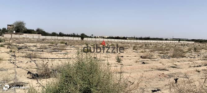 فدان للبيع اسكندرية الصحراوي  مسجلة بجوار مزارع دينا كيلو 84 كاملة المرافق
