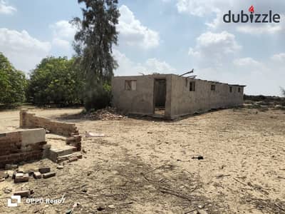 فدانين للبيع اسكندرية الصحراوي في جمعية مسجلة بجوار مزارع دينا كيلو 84 كاملة المرافق