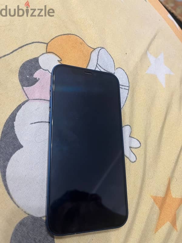 iPhone 5