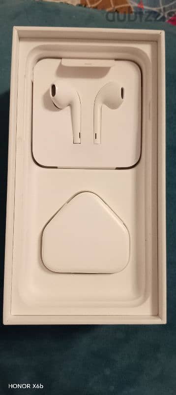 original apple 1