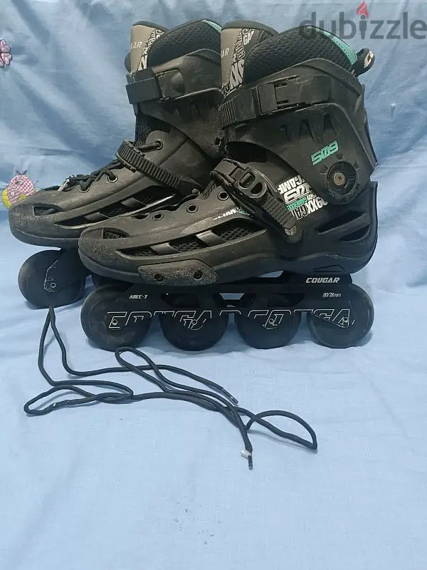 cougar 509