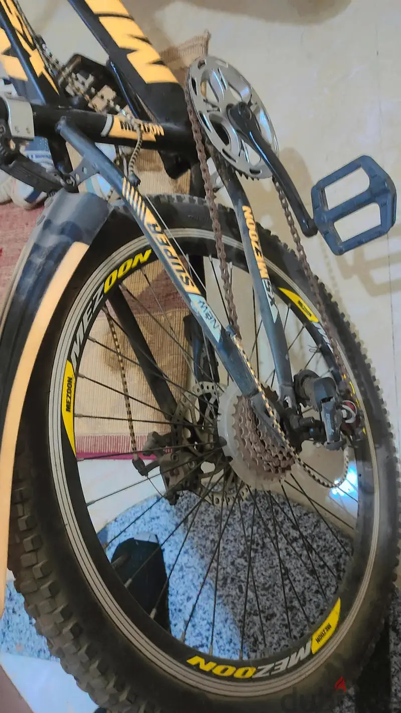 Bicicleta MEZOON 24