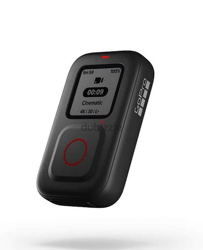 GoPro Official Remote