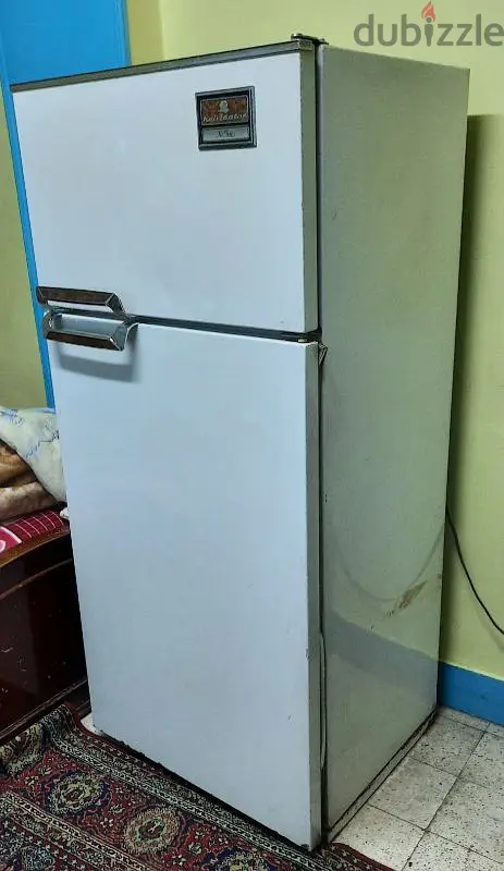كيلفناتور65196175665923121