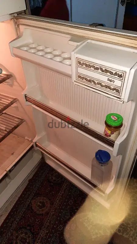 كيلفناتور65196175665923123