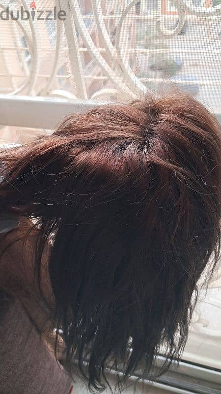 Hair Wig 2