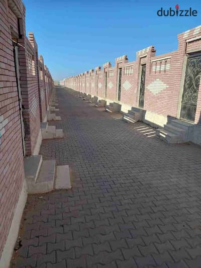 مدفن للبيع في مقابر طريق الفيوم مدخل 5 نقل ملكيه في محافظة الجيزة إدارة الجبانات