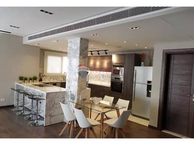 Luxury Furnished Apartment In Courtyard Sodic