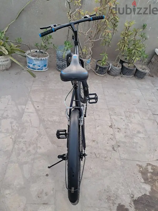عجلة مقاس 2465568829165953127