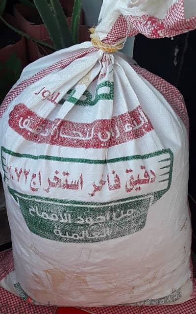 الاسكندريه
