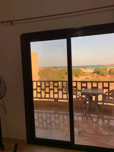شواطئ السلاحف