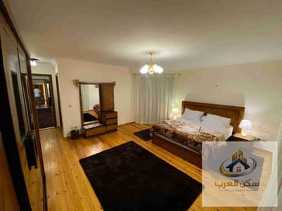 Furnished apartment for rent, 250 sq m, on Al-Sanhoury Main Street, Abbas El-Aqqad. Daily and monthly rentals available directly from the owner.
