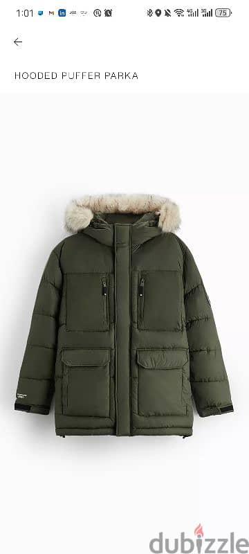 Zara Jaket