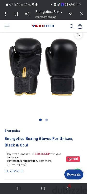 energetics boxing cloves 2