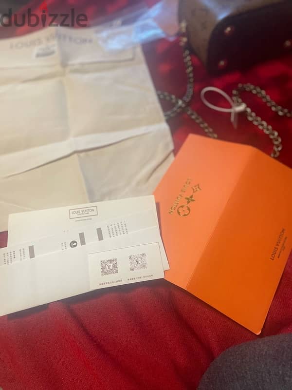 LV Bag 1
