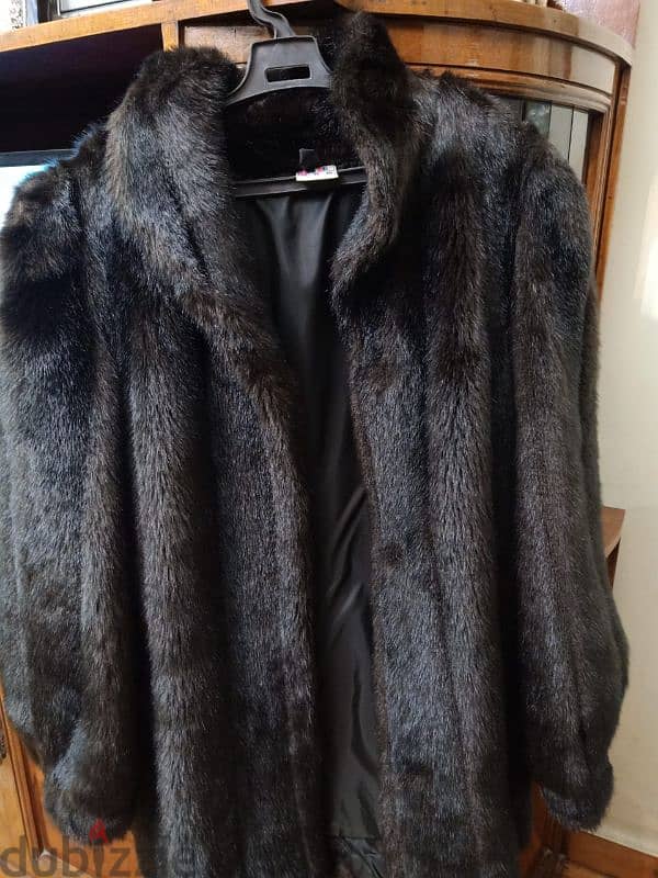 jacket 1
