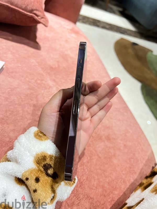 iPhone 14 Pro Max 6