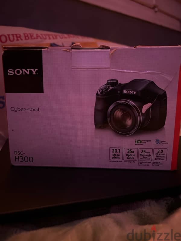 Sony Cyber-shot DSC-H300 2