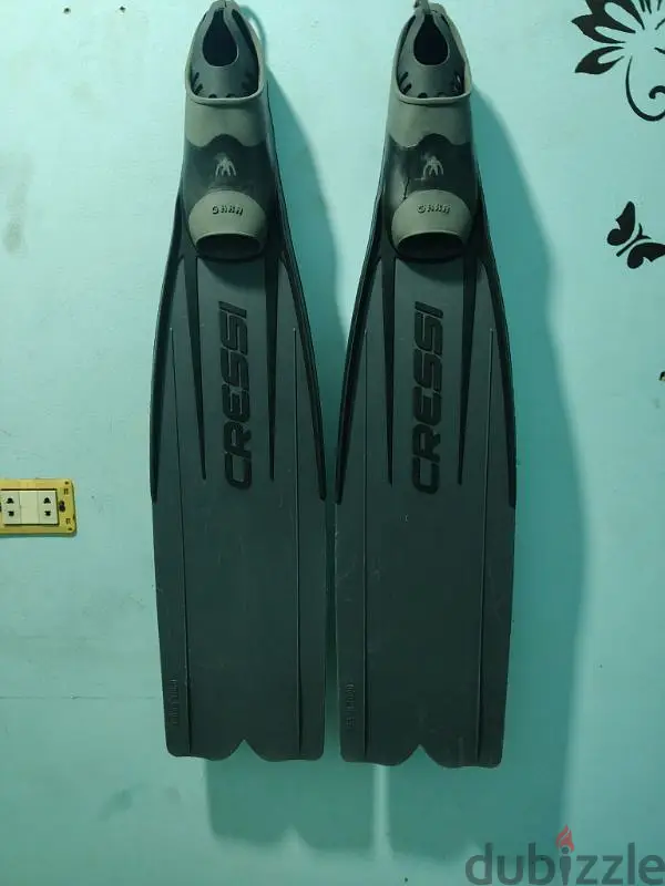 Fins