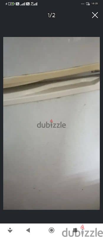 حدائق الزيتون