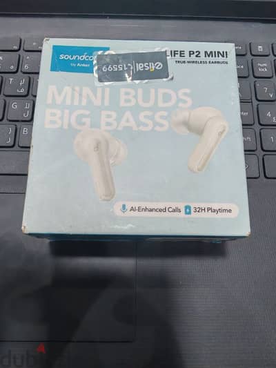 P2 mini