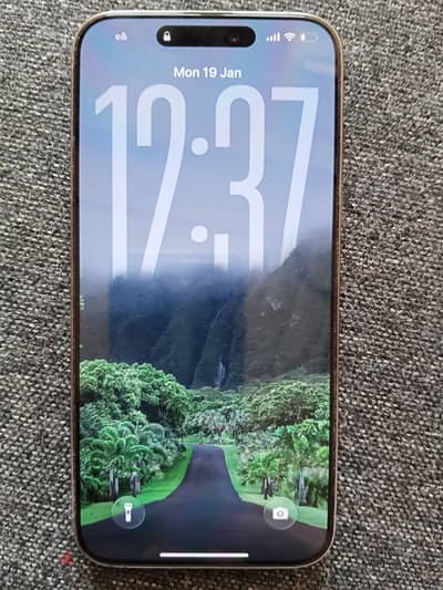 iPhone 15 Pro Max
