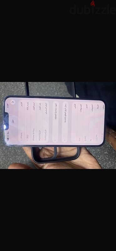 بنها قليوبية