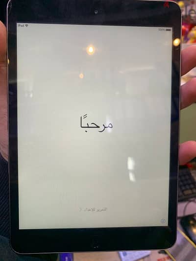 Apple Ipad Mini