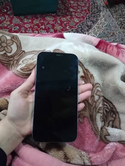 12 برو ماكس