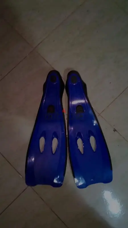 Fins65588809159809121