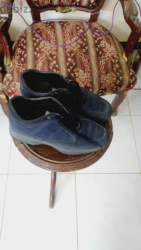 Hogan 4