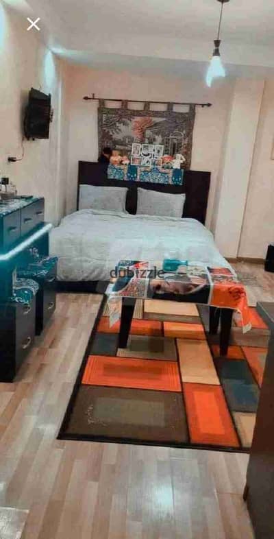 Studios and apartments for daily, weekly, and monthly rent at the lowest prices in the most prestigious and quiet neighborhoods in October. The place is fully air-conditioned and has a heater and gas.